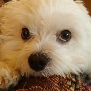 Meet your Posher, Jeff